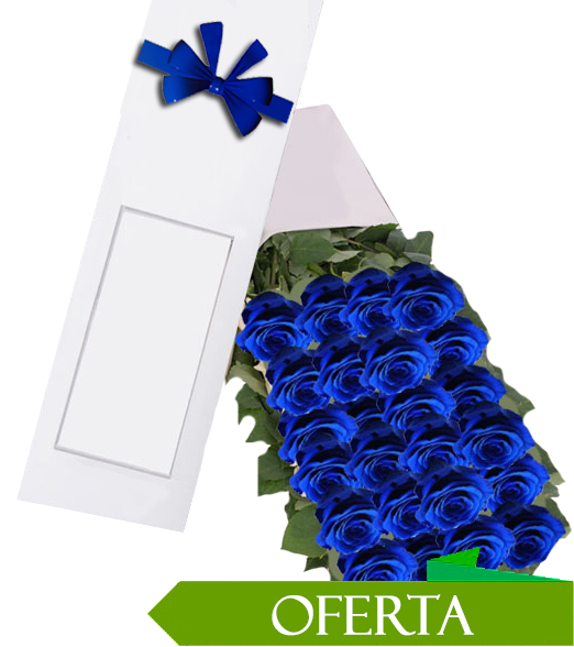 Caja de 24 Rosas Azul